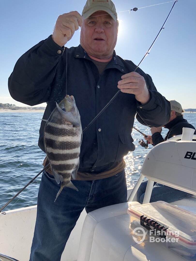 Orange Beach Report Photo 0