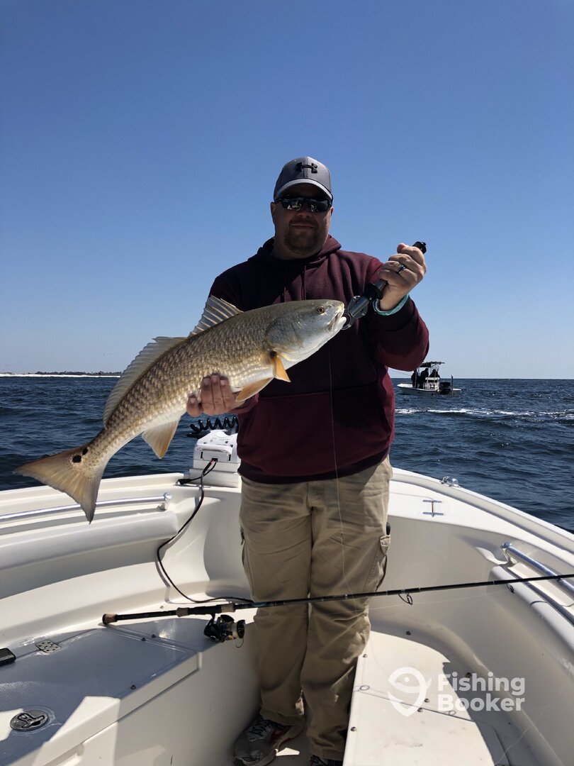 Orange Beach Report Photo 0