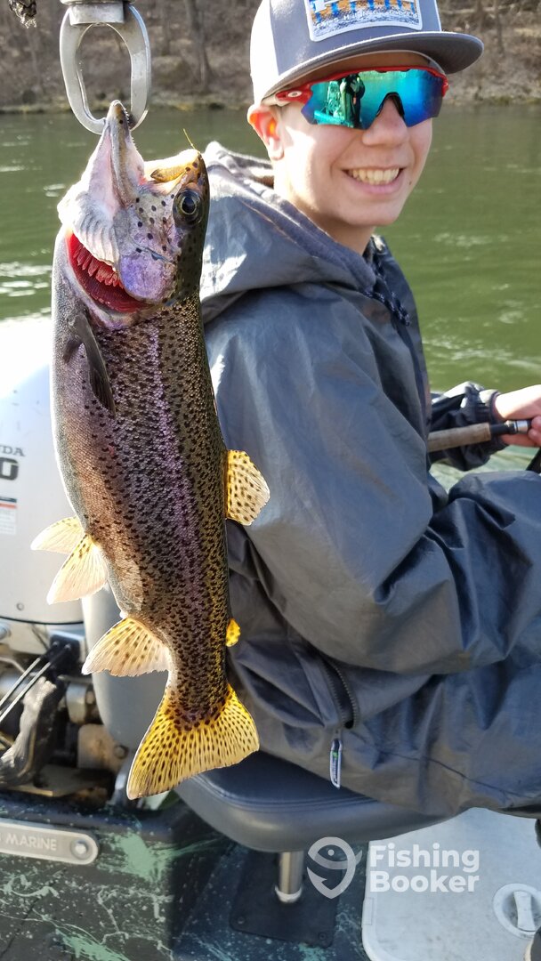 Taneycomo Lake Rainbow Trout