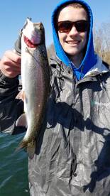 Taneycomo Lake Rainbow Trout