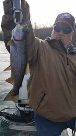 Taneycomo Lake Rainbow Trout