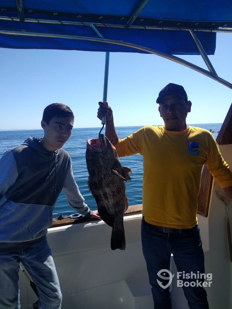 Puerto Peñasco Report Photo 0