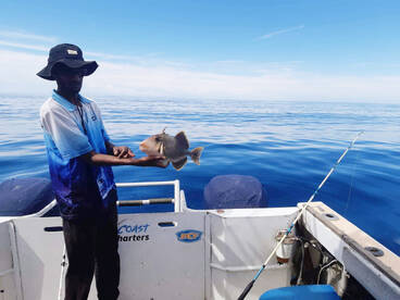 Cuvu Report Photo 1