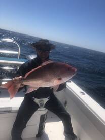 Orange Beach Report Photo 1
