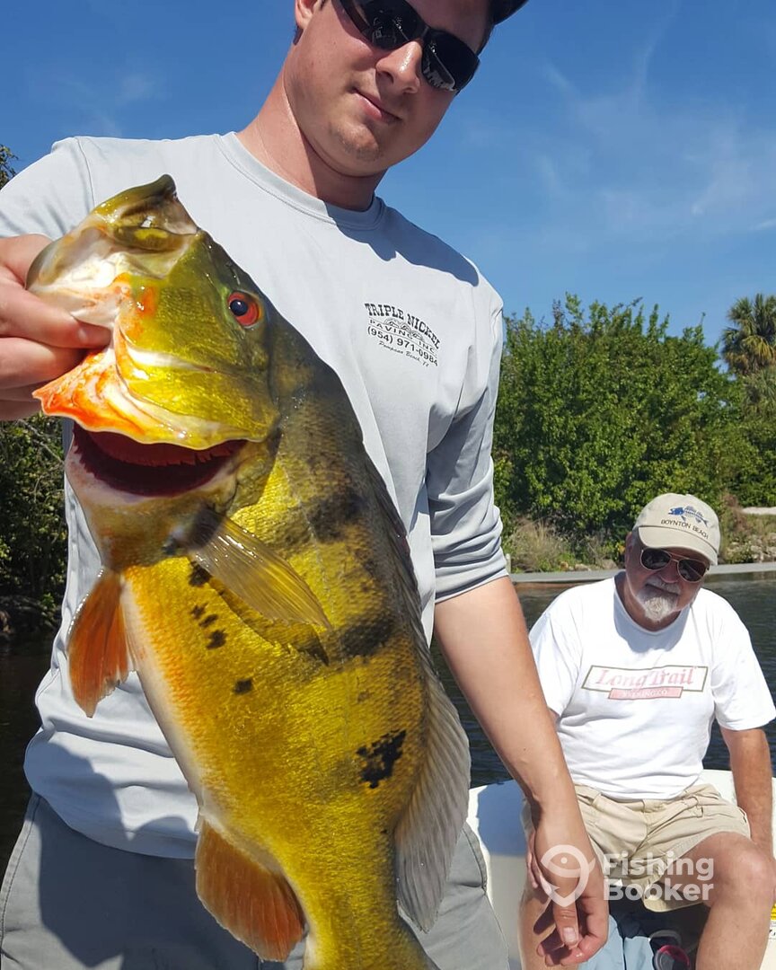 Delray Beach Report Photo 0