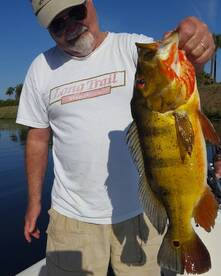 Delray Beach Report Photo 1