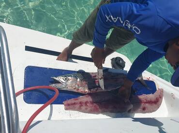 Punta Cana Report Photo 2