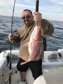 Orange Beach Report Photo 2