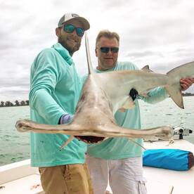 Shark bite is on point