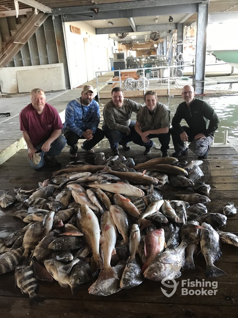 Venice Report Photo 0