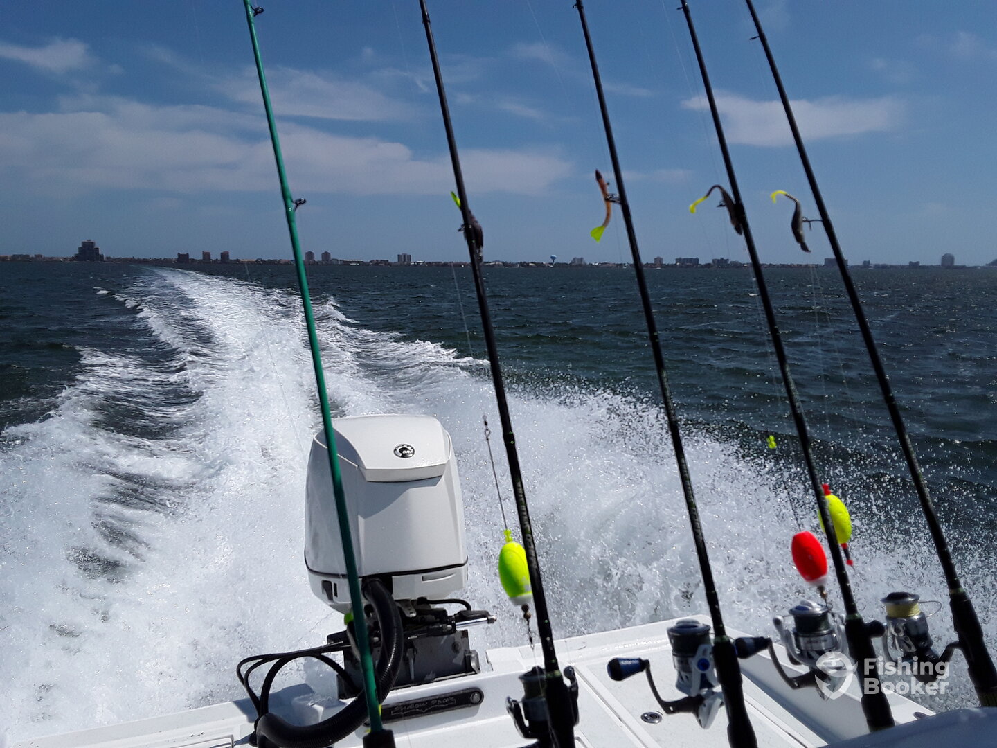 South Padre Island Report Photo 0