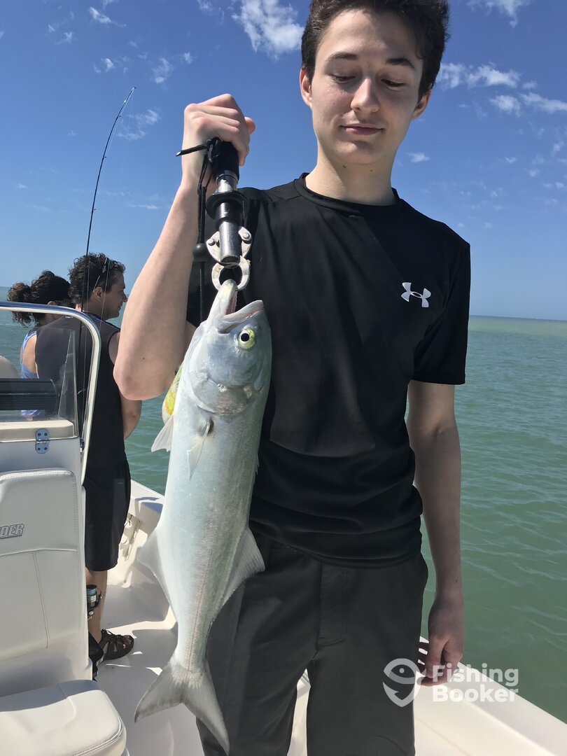 Marco Island Report Photo 0