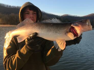 Nice walleye to start the day