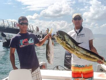 Puerto Vallarta Report Photo 2