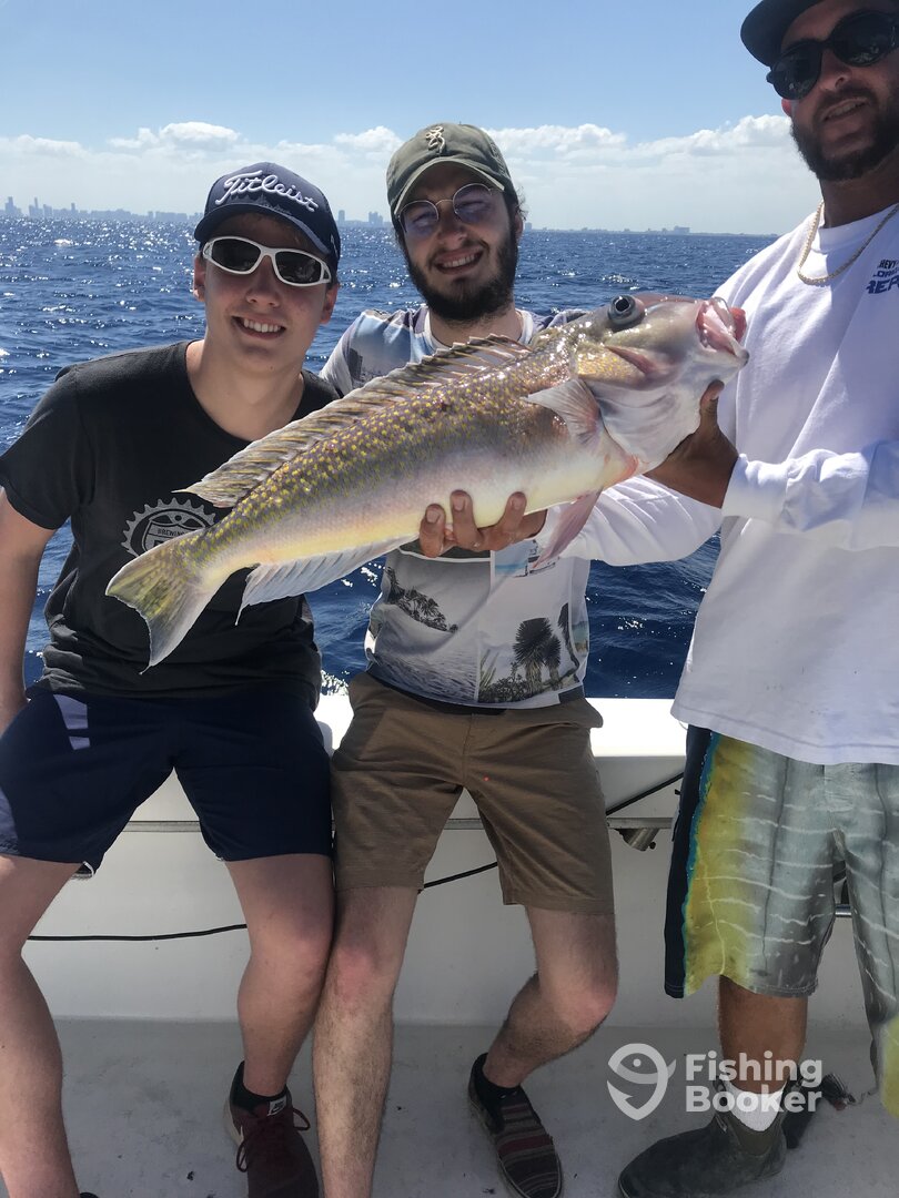 Dania Beach Report Photo 0