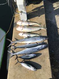 Dania Beach Report Photo 1