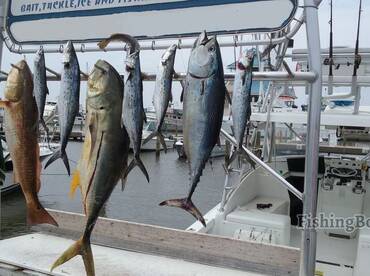 Dominator fishing charters trip