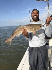 Venice Report Photo 1