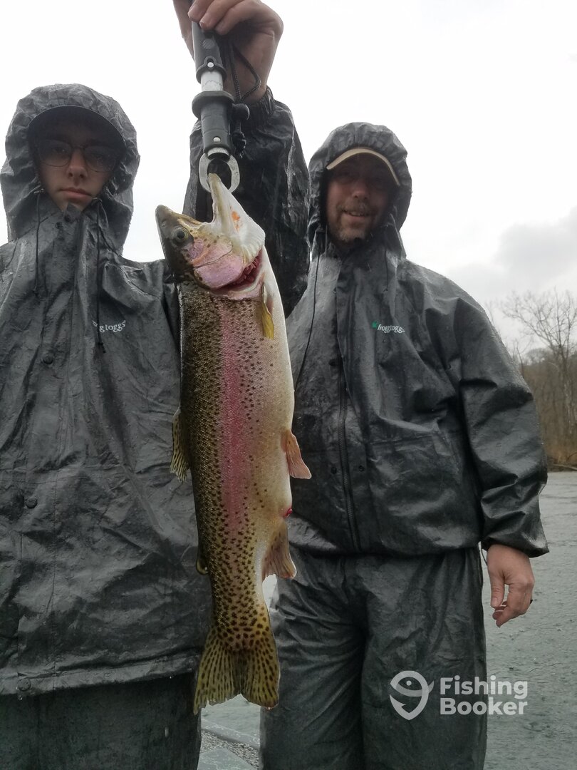 Branson Report Photo 0
