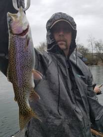 Branson Report Photo 2