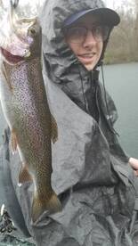 Branson Report Photo 1