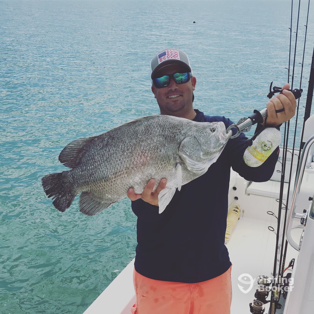 Marco Island Report Photo 0