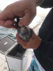 Clearwater Report Photo 1