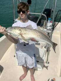 Sarasota Report Photo 2