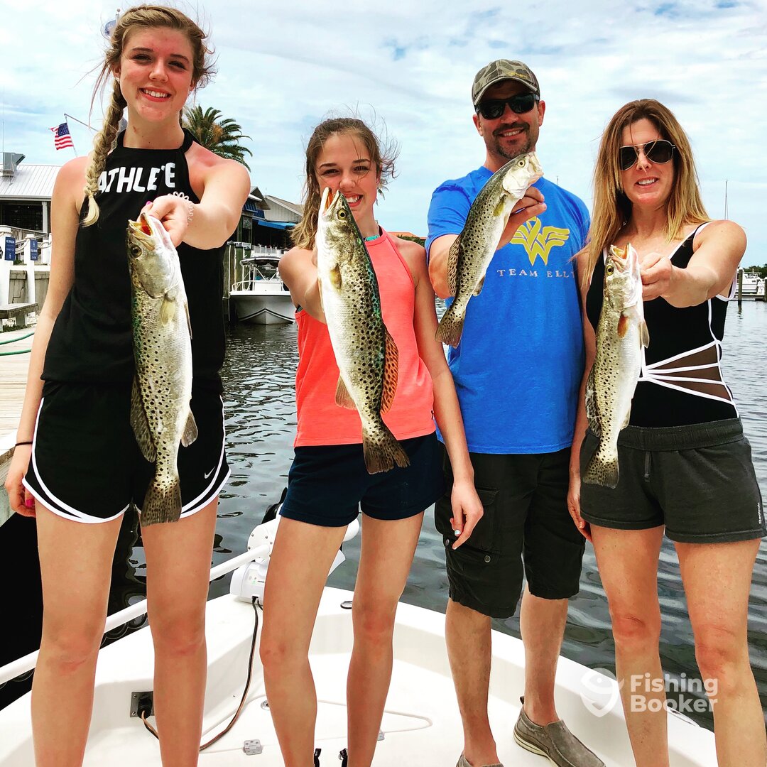 Punta Gorda Report Photo 0