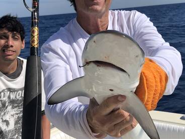 Islamorada Report Photo 1