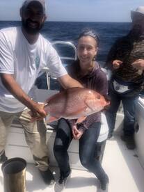 Orange Beach Report Photo 1