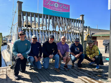 Carolina Beach Report Photo 2