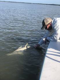 Everglades City Report Photo 2