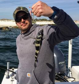 Navarre Report Photo 2