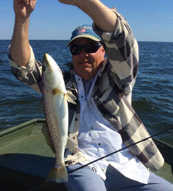 Trout galore, one redfish and a cobia.