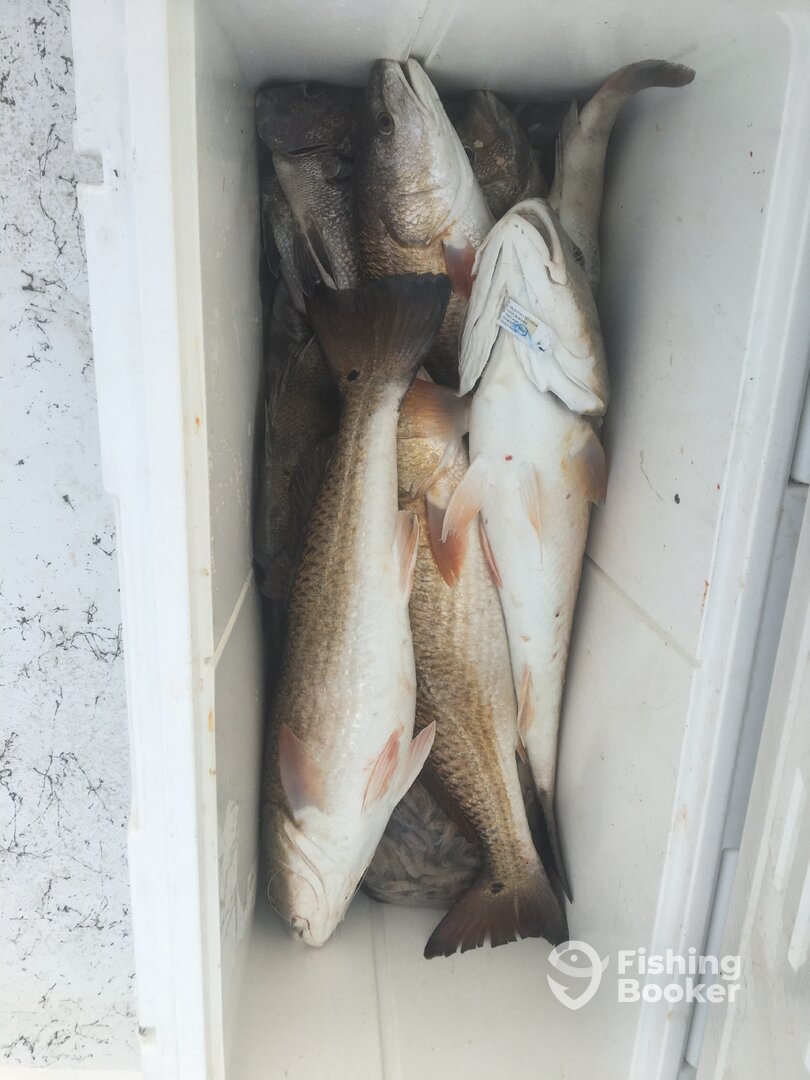 Port O'Connor Report Photo 0