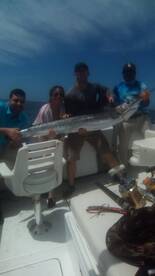 Cabo San Lucas Report Photo 1