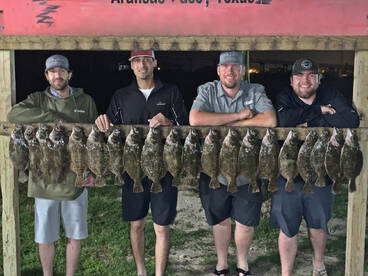 20 Flounder Limit 