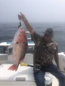 Orange Beach Report Photo 1