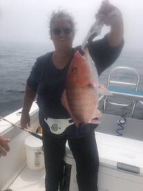 Orange Beach Report Photo 2