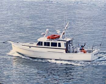 Montauk Report Photo 1