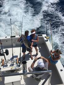Dania Beach Report Photo 1