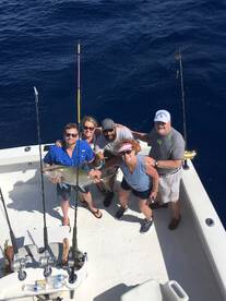 Dania Beach Report Photo 2