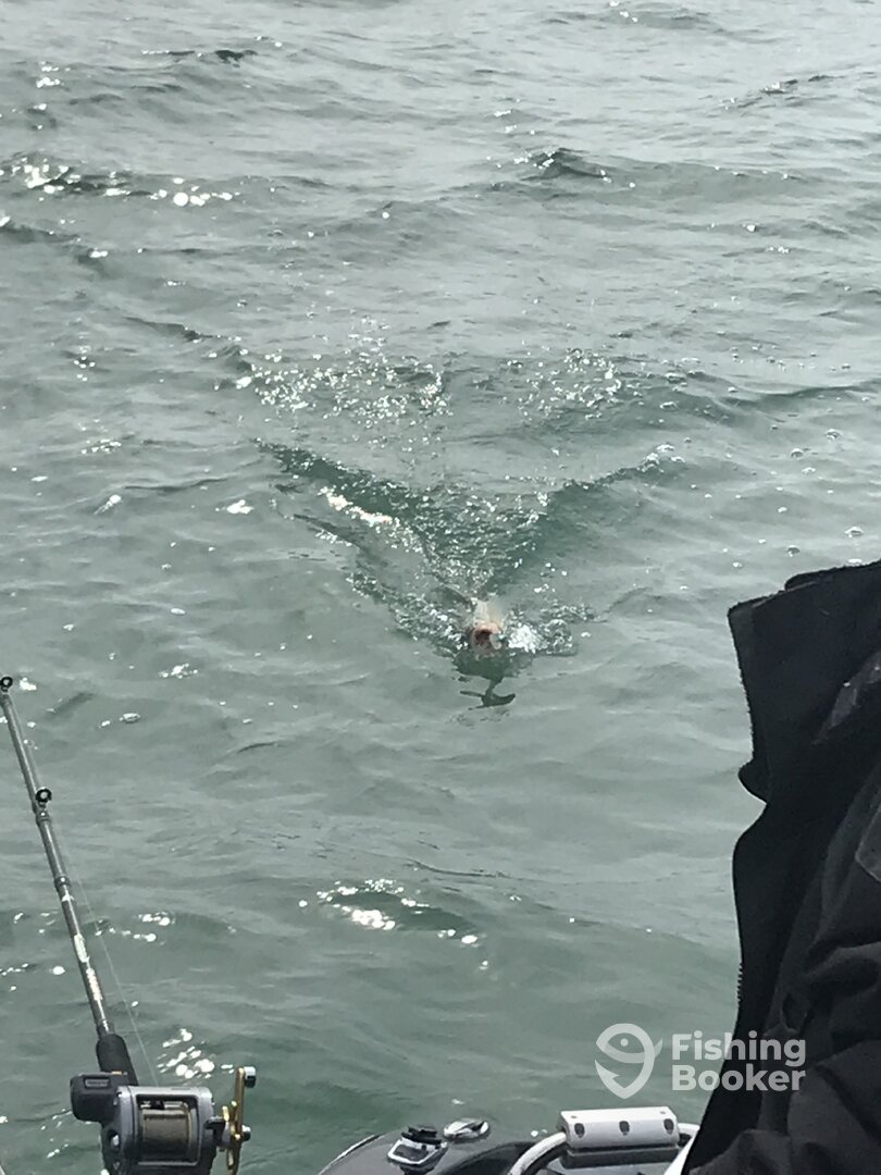 Lorain Report Photo 0