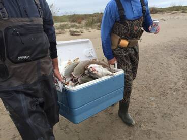 Rockport Report Photo 2