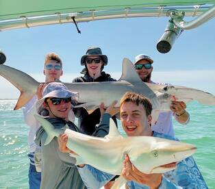 Sanibel Report Photo 2