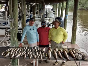 St. Bernard Report Photo 2