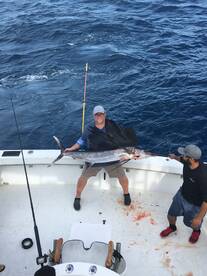 Dania Beach Report Photo 1