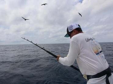 Quepos Report Photo 2