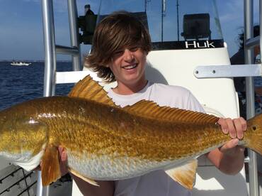 The Running of the Bulls!!!